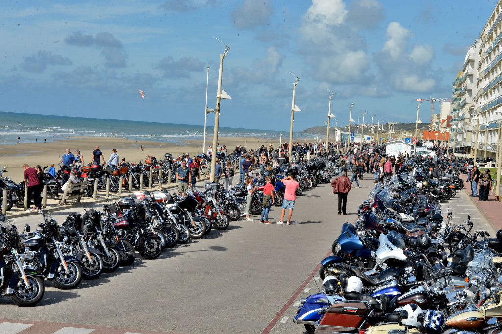 Ohdsite 0181